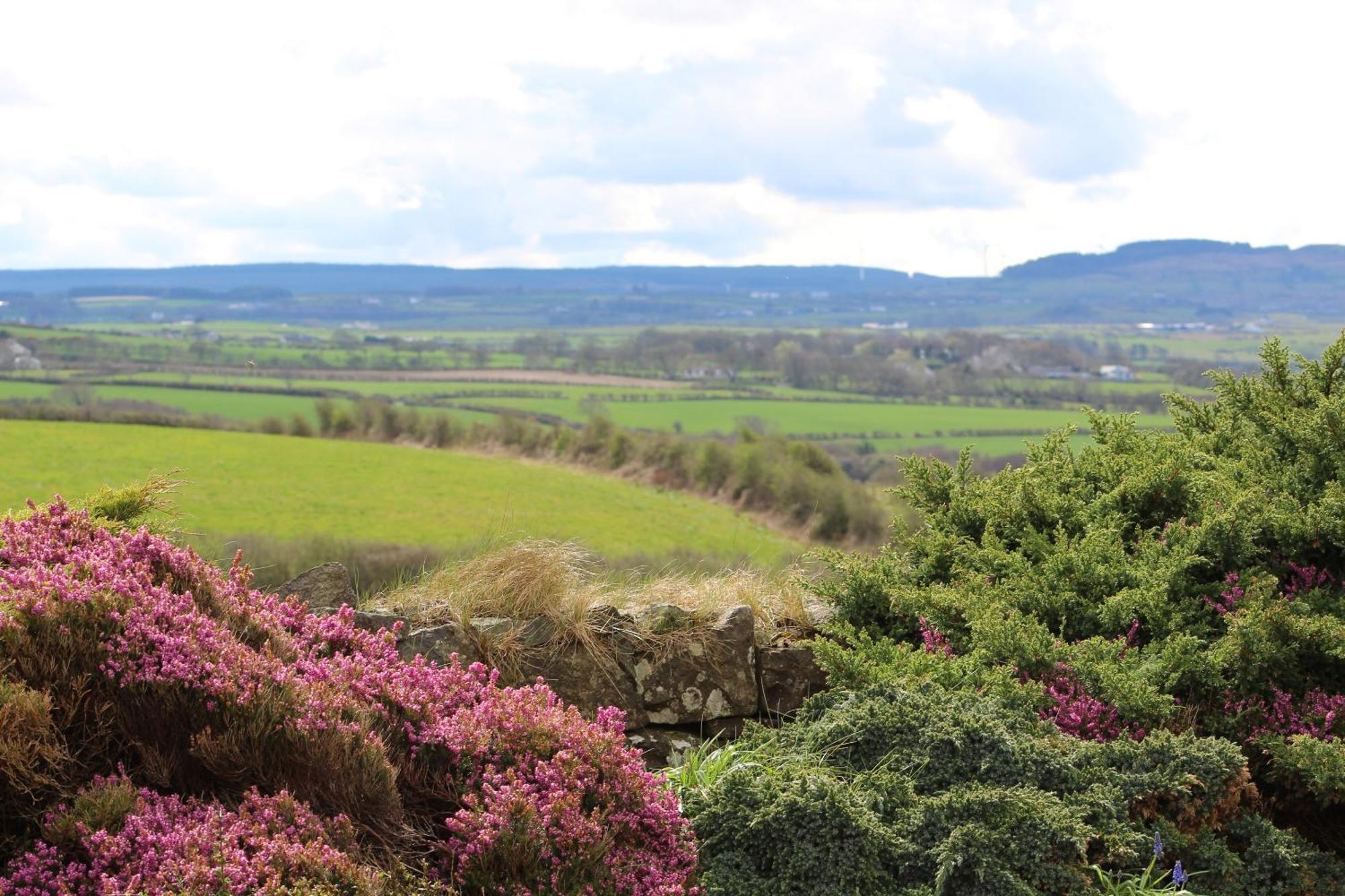 Bed and Breakfast Carnalbanagh House Portstewart Exteriér fotografie